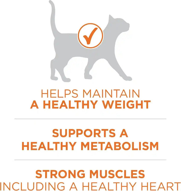 Purina ONE High Protein, Healthy plus Ideal with Chicken Dry Cat Food Control Formula - 7 Lb. Bag3
