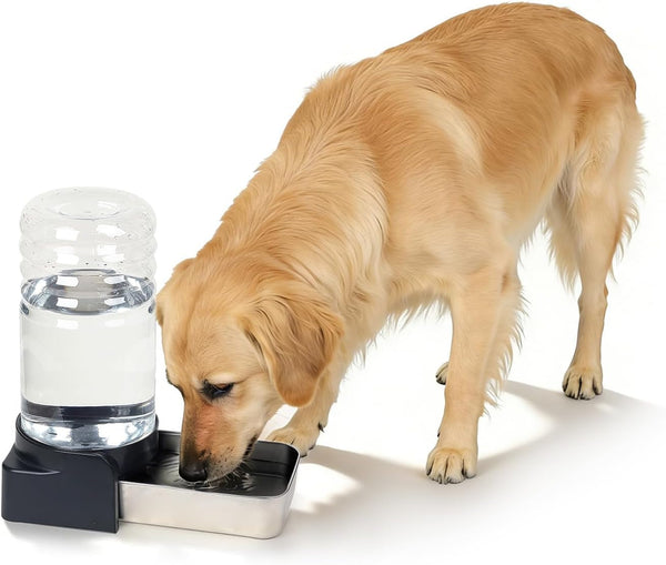 PAKEWAY 1.1 Gallon Gravity Water Dispenser for Cats and Small Dogs, Automatic Pet Waterer with Stainless Steel Bowl, Transparent Tank and 3 Filters, 4.1L10