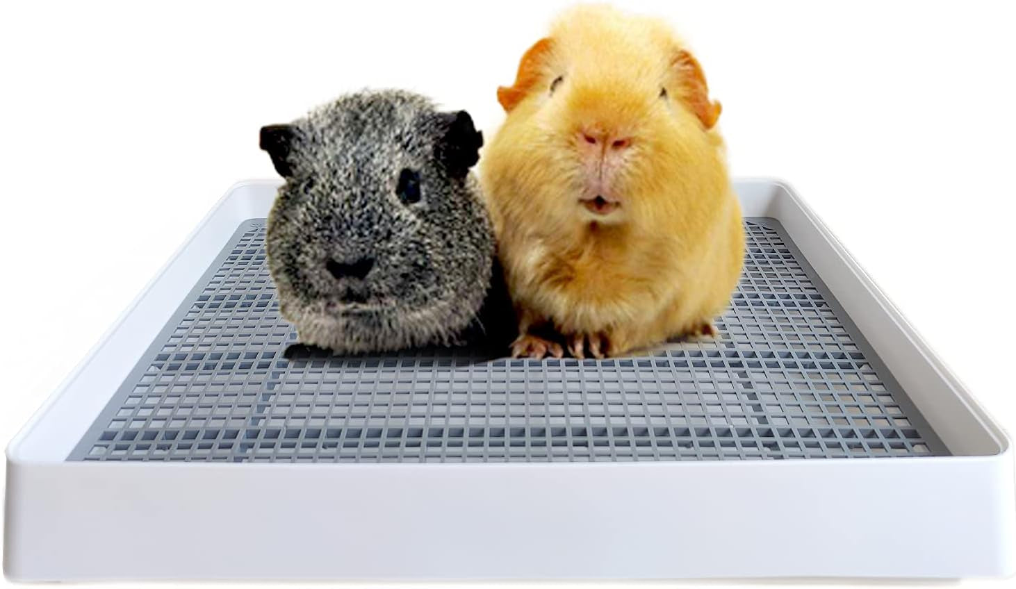 podoo-rabbit-litter-box-training-potty-tray-for-guinea-pig-small-pets-spacious-grid-pan-with-low-entrance-easy-clean-odor-resistant-helps-keep-a-clean-cage-and-reduce-mess-low-entry-litter-tray-with-removable-grate-for-cleaner-small-pet-cages-approx-14-6-x-11-8-x-2-6-in