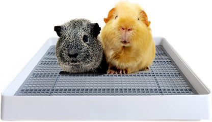 PODOO Rabbit Litter Box – Training Potty Tray for Guinea Pig & Small Pets · Spacious Grid Pan with Low Entrance, Easy-Clean & Odor-Resistant—Helps Keep a Clean Cage and Reduce Mess | Low-Entry Litter Tray with Removable Grate for Cleaner Small-Pet Cages; Approx. 14.6 X 11.8 X 2.6 In.1