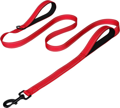 Joytale Reflective Dog Leash for Medium & Large Dogs, 6 FT X 1", Black | Heavy Duty Nylon Webbing, Padded Handle for Comfort, Visible at Night, for Walking & Training30