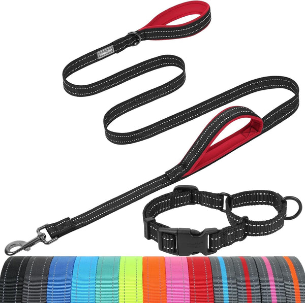 VIVAGLORY Double Handle Dog Leash Twingrip, 6Ft X 1In, Navy | Dog Leash for Collar with Traffic Handle & 2 Loop for Walking & Training, Traffic Control Reflective Heavy Duty Puppy Pet23