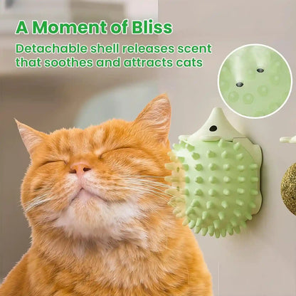 6 Pcs Catnip Ball Toys with Rubbing Shell, Lickable Roller Catnip Toys for Cats Chew, Edible and Refillable Kitten Toys, Teeth Cleaning Dental Indoor Cat Treats Toys, 3 Shells 6 Balls5