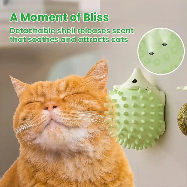 6 Pcs Catnip Ball Toys with Rubbing Shell, Lickable Roller Catnip Toys for Cats Chew, Edible and Refillable Kitten Toys, Teeth Cleaning Dental Indoor Cat Treats Toys, 3 Shells 6 Balls5