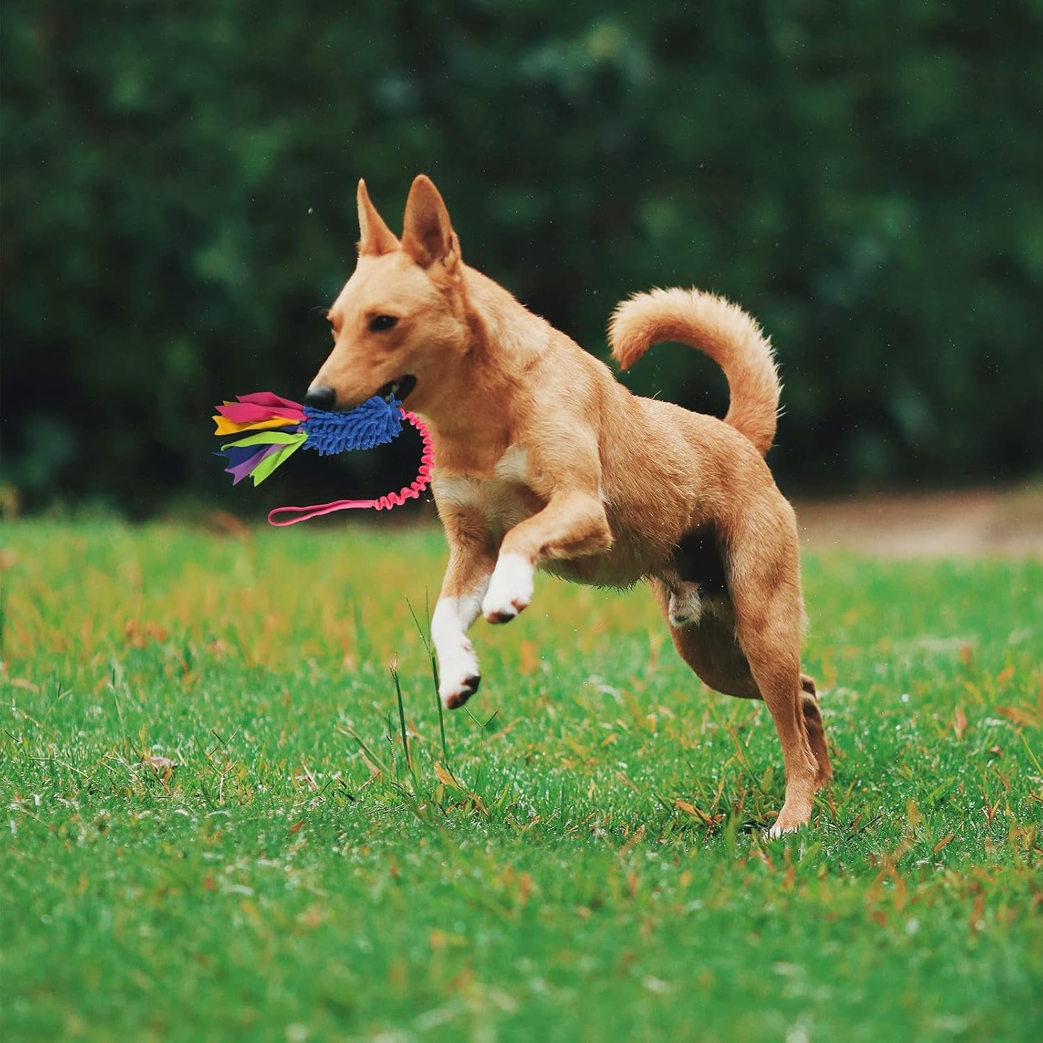 wodoca-dog-tug-toy-dog-toys-for-aggressive-chewers-strong-squeak-rope-toy-easy-to-grap-chew-toy-for-large-dogs-puppies-middle-dogs-ideal-for-training-and-play-hand-made