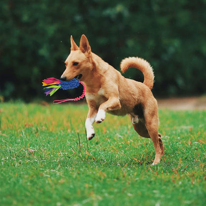 Wodoca Dog Tug Toy, Dog Toys for Aggressive Chewers - Strong Squeak Rope Toy, Easy to GRAP Chew Toy for Large Dogs, Puppies, Middle Dogs - Ideal for Training and Play, Hand Made3