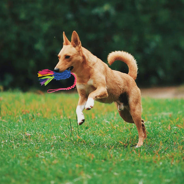 Wodoca Dog Tug Toy, Dog Toys for Aggressive Chewers - Strong Squeak Rope Toy, Easy to GRAP Chew Toy for Large Dogs, Puppies, Middle Dogs - Ideal for Training and Play, Hand Made3