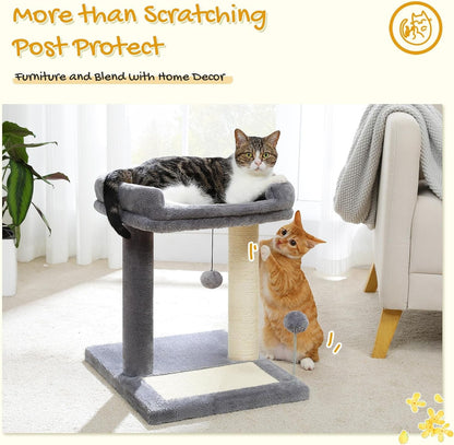 PAWZ Road Cat Scratching Post with Bed, Small Cat Tower with Pad & Ball | 19” Cat Stand with Padded Removable Bed, Full Sisal Scratching Post & Scratcher Pad Dual Play Ball for Kittens & Indoor Cats7