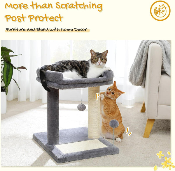 PAWZ Road Cat Scratching Post with Bed, Small Cat Tower with Pad & Ball | 19” Cat Stand with Padded Removable Bed, Full Sisal Scratching Post & Scratcher Pad Dual Play Ball for Kittens & Indoor Cats7