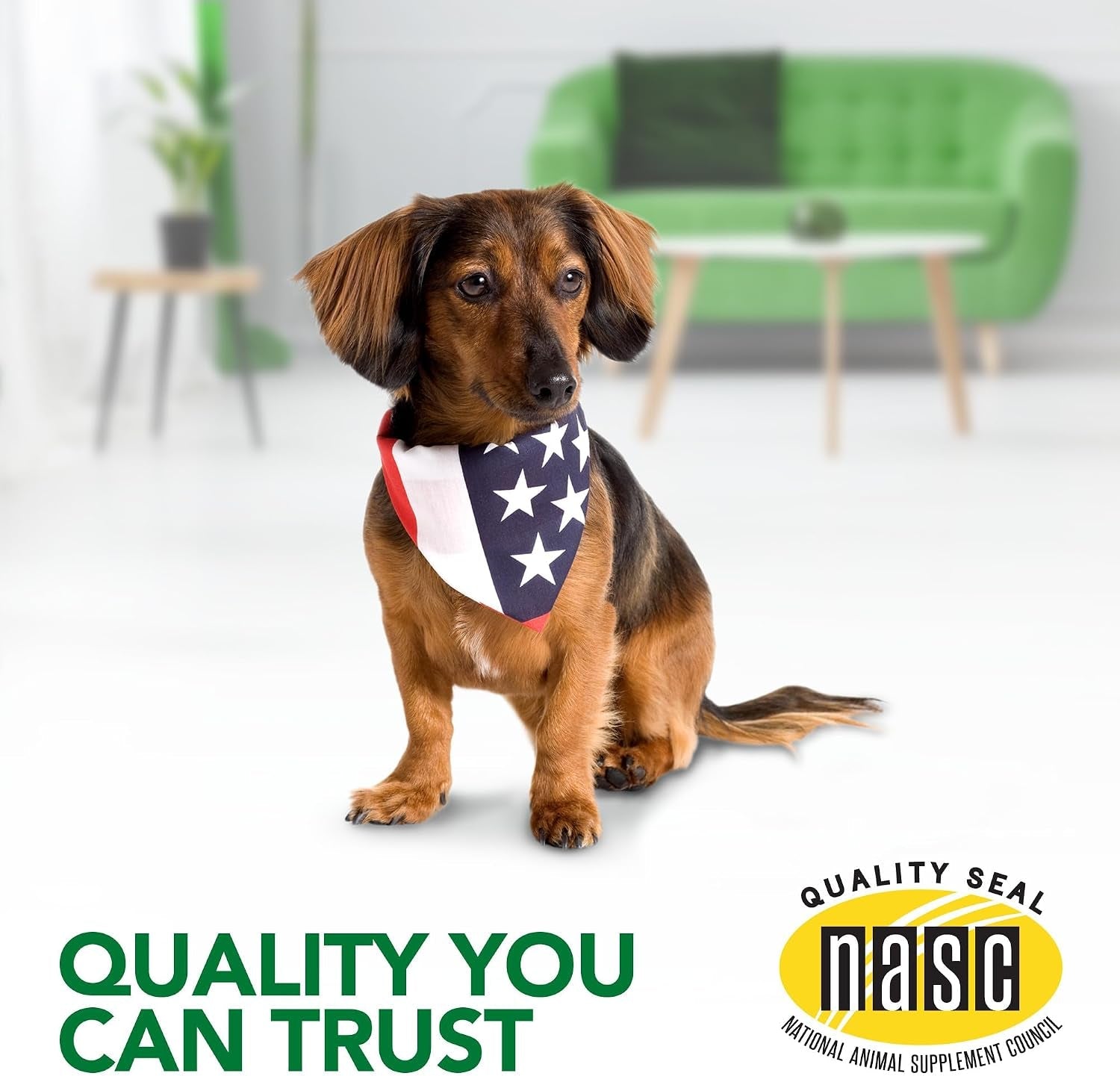 vets-best-seasonal-allergy-chewable-tablets-for-dogs-soothes-dog-60ct-seasonal-allergy-relief-tablets-helps-soothe-itchy-skin-supports-healthy-skin-coat-daily-chewable-formula