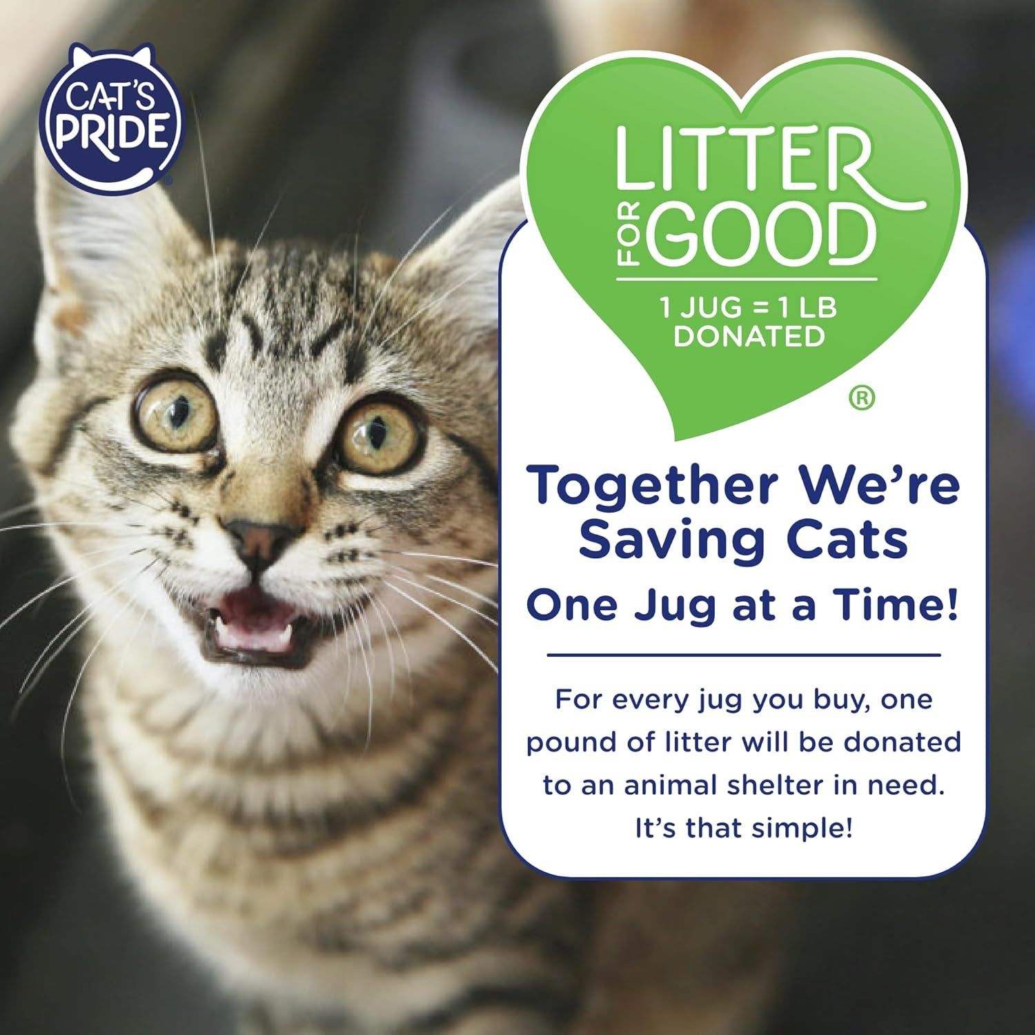 cats-pride-lightweight-clumping-litter-baking-soda-powerful-odor-control-scented-10-pounds