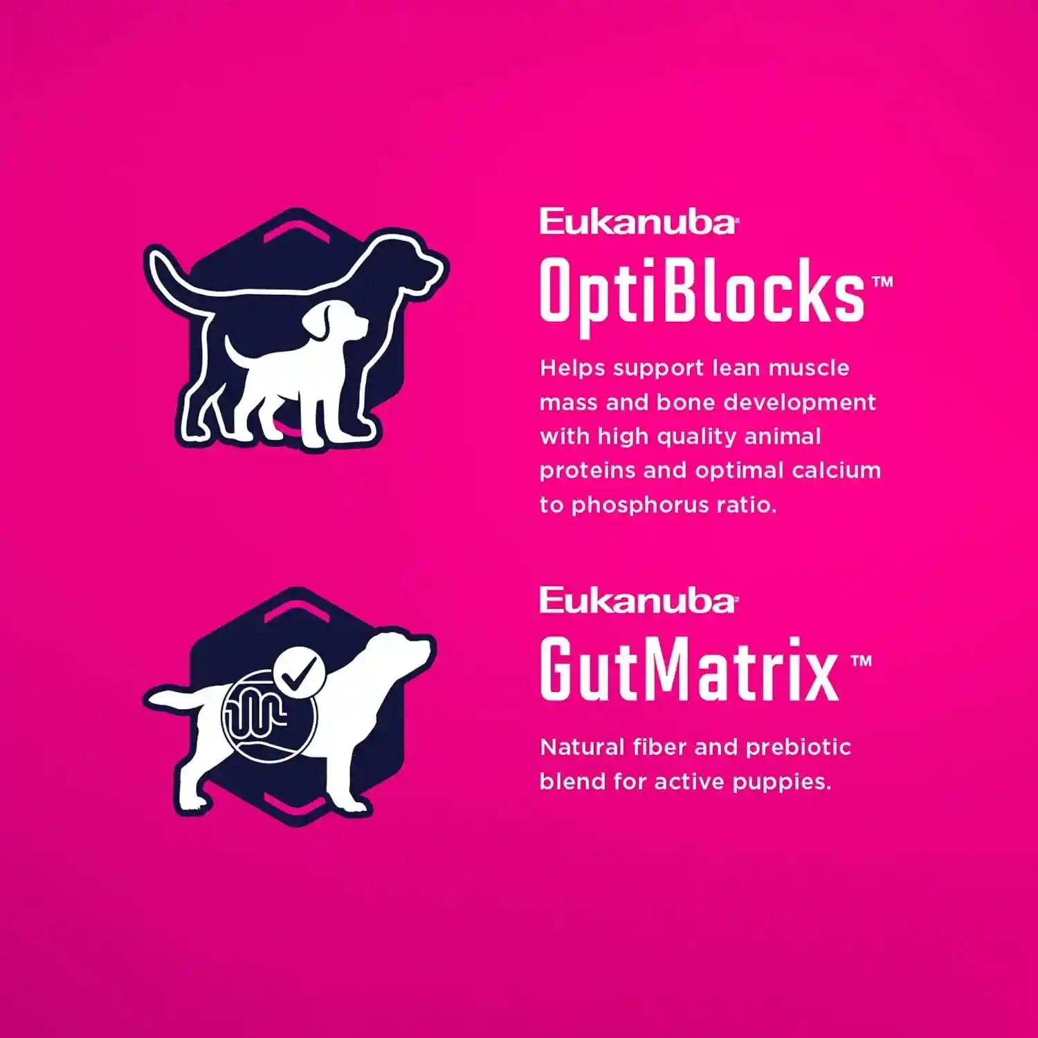 eukanuba-puppy-small-breed-dry-dog-food-4-5-lb-bag