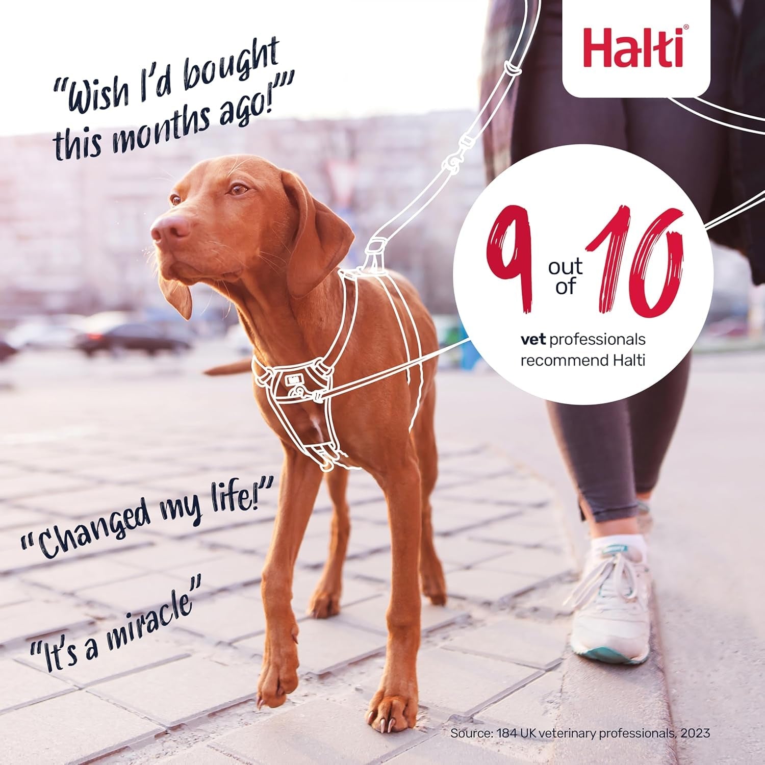 halti-no-pull-harness-stop-your-dog-pulling-on-the-leash-adjustable-lightweight-and-easy-to-use-reflective-dog-training-harness-for-large-dogs-size-l-black