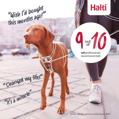Halti No Pull Harness - Stop Your Dog Pulling on the Leash. Adjustable, Lightweight and Easy to Use. Reflective Dog Training Harness for Large Dogs (Size L, Black)7