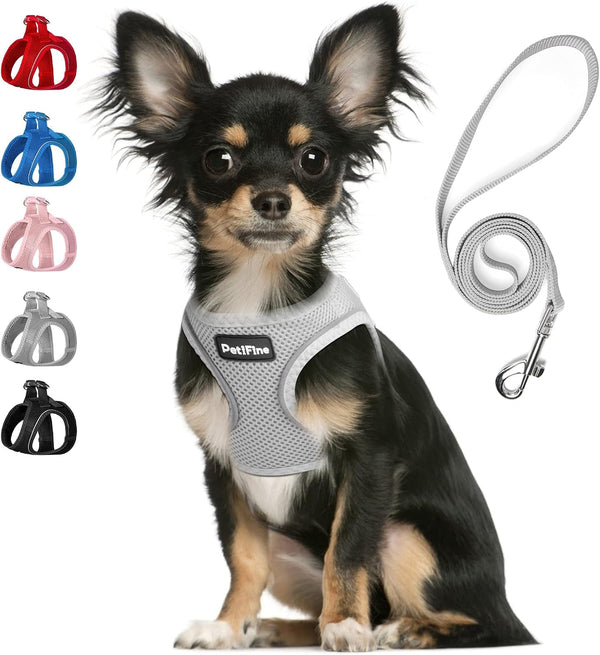 Small Dog Harness and Leash Set Breathable Step-In Puppy Cat Harness,Xs | Reflective for Safe Easy Walking,Soft Light Puppy Vest,Escape Proof,No Pull Harness for Dogs,All Weather Air Mesh Harness22