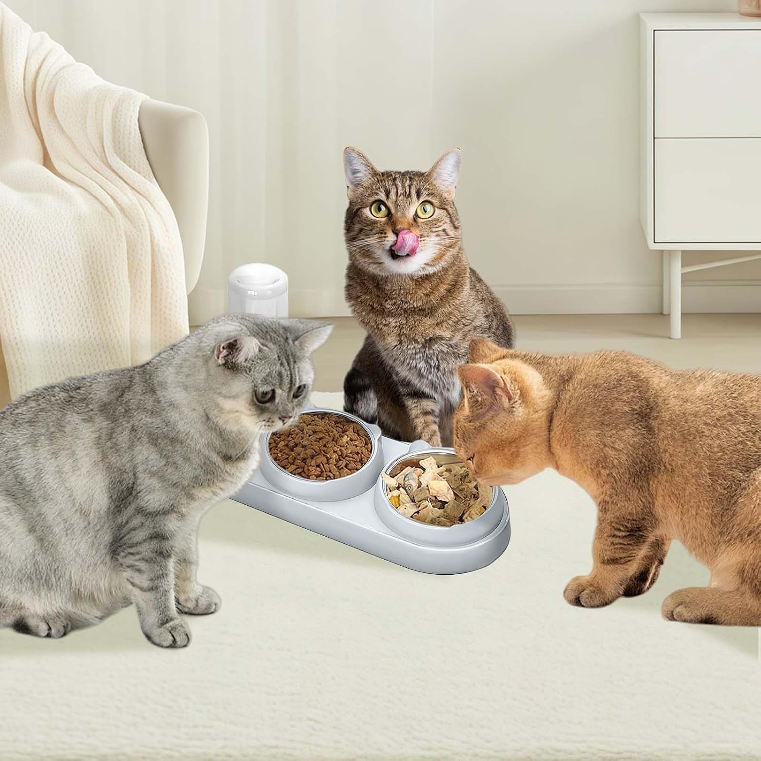 marchul-3-in-1-cat-bowl-cat-food-and-water-bowl-set-with-water-dispenser-and-stainless-steel-bowls-15-tilted-pet-raised-three-bowls-for-indoor-cats-small-or-medium-sized-dogs