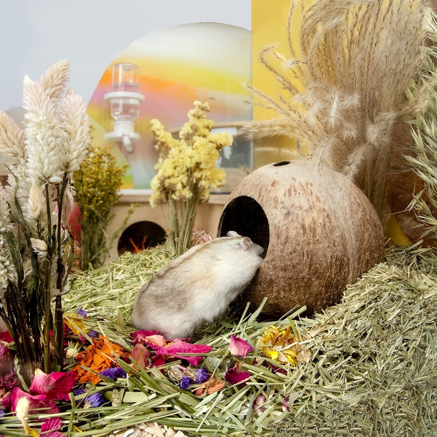 andwe-coconut-hut-hamster-house-bed-for-gerbils-mice-small-animal-cage-habitat-decor