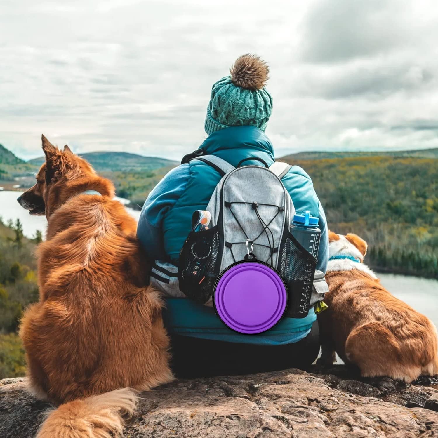 collapsible-dog-bowls-2-pack-large-size-for-large-medium-dogs-pet-travel-water-bowl-dogs-cat-portable-water-bowl-dog-pet-feeding-watering-dish-outdoor-hiking-parking-traveling-with-2-carabiners