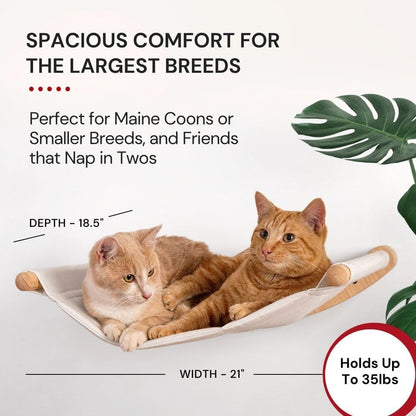 7 Ruby Road Cat Wall Hammock for Large Cats, Cat Wall Bed | a Space-Saving Wall Mounted Cat Bed with a Washable, Replaceable Cushion That Holds Big Cats up to 35 Lbs3