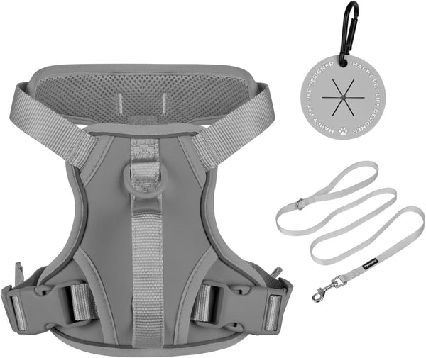 Petmolico No Pull Cute Dog Harness Reflective, Light Blue, Small | Set Includes Leash & Waste Bag Holder, 2 Clips & Handle, Soft Comfy Fit, Adjustable, Ideal for Daily Walks & Travel9