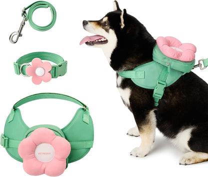 VETRESKA Flora Dog Harness, Leash and Collar Set, No Pull Vest Harness, L | for Walking and Training, Adjustable, Easy Control and Soft Padded Pet Harness and Backpack for Small Medium Large Dogs9