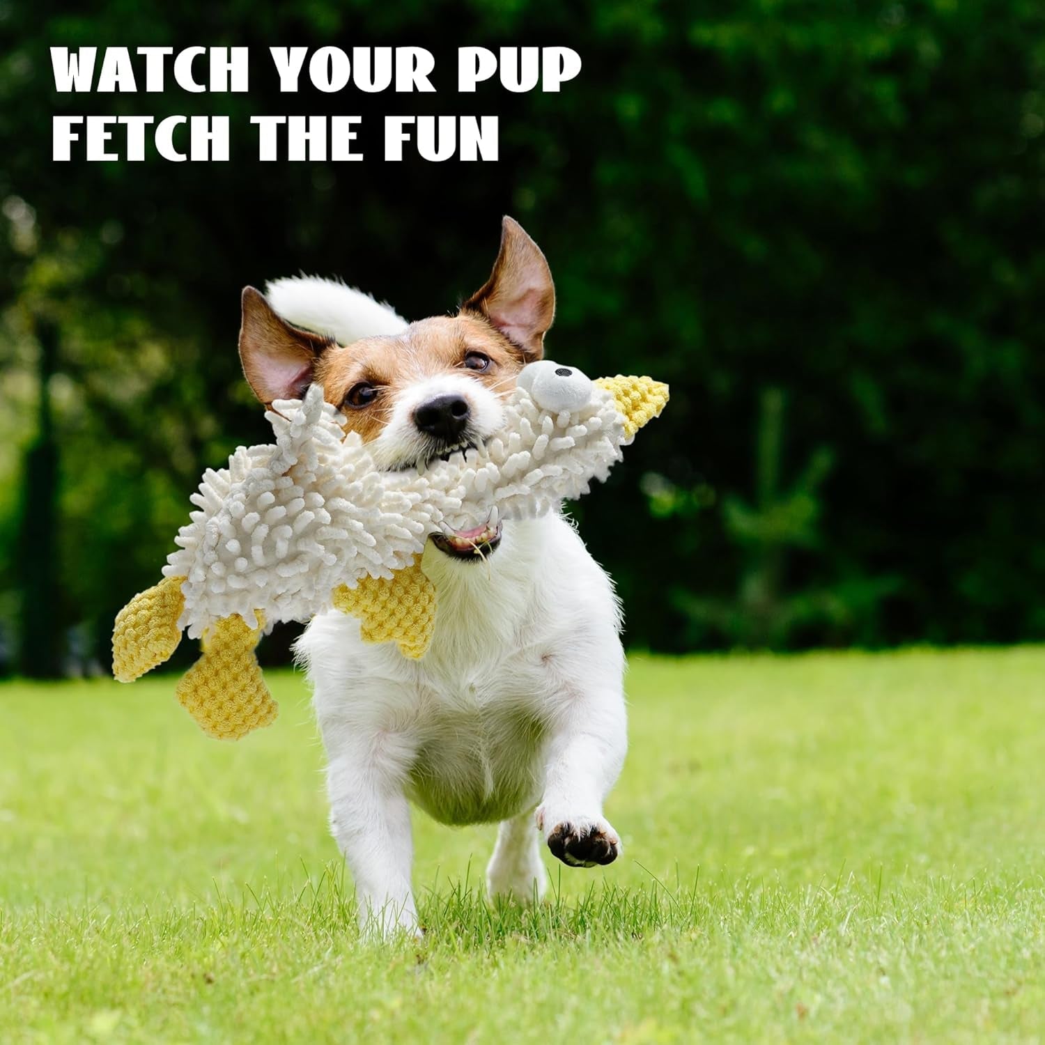 nocciola-5-packs-squeaky-dog-toy-plushies-cute-soft-squeak-crinkle-plush-stuffed-durable-pet-animal-chew-puppy-toys-for-small-meidum-large-breed