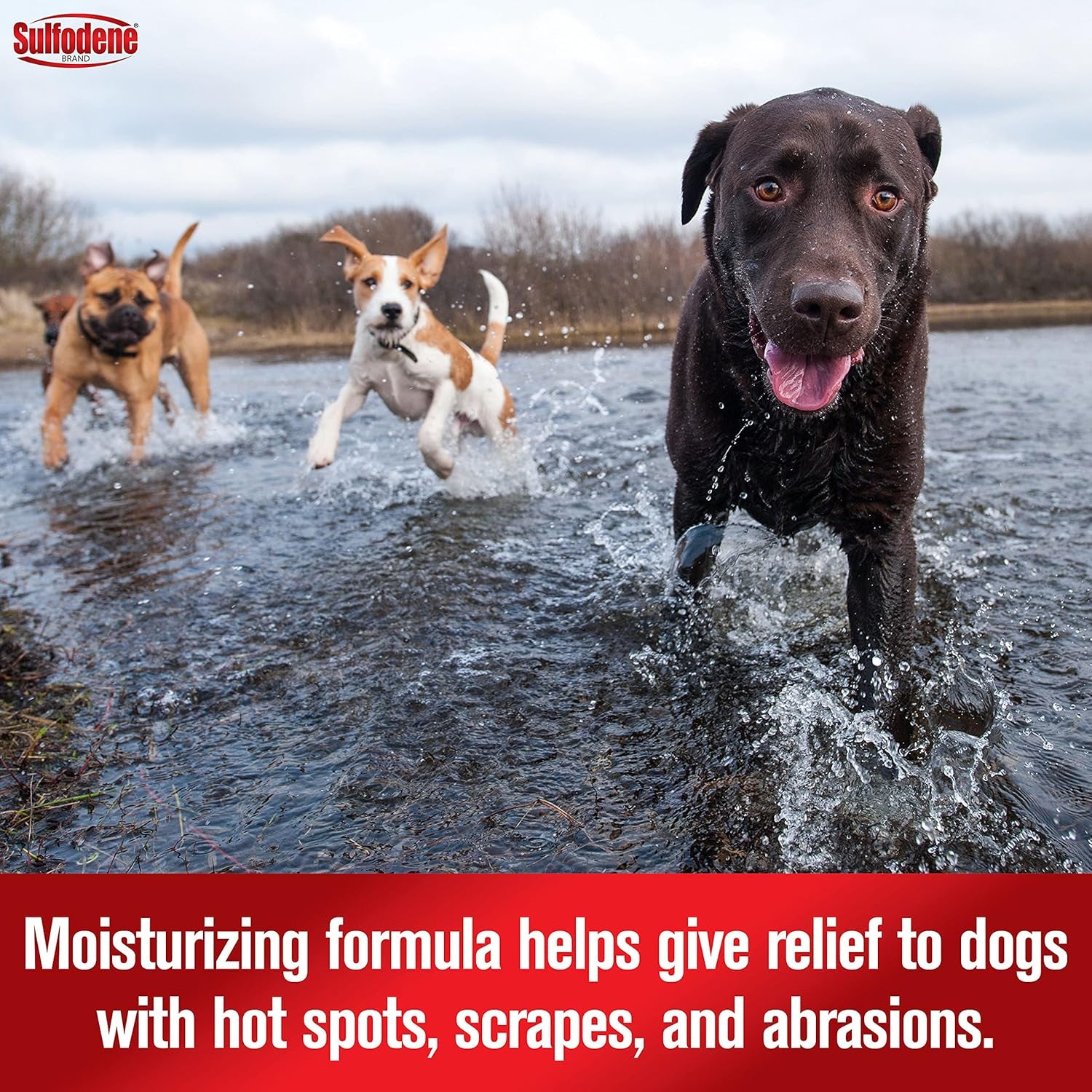 sulfodene-hot-spot-itch-relief-medicated-spray-for-dog-8oz-vet-recommended-anti-itch-spray-for-dogs-with-aloe-vera-dog-hot-spot-spray-for-allergies-scrapes-and-abrasions
