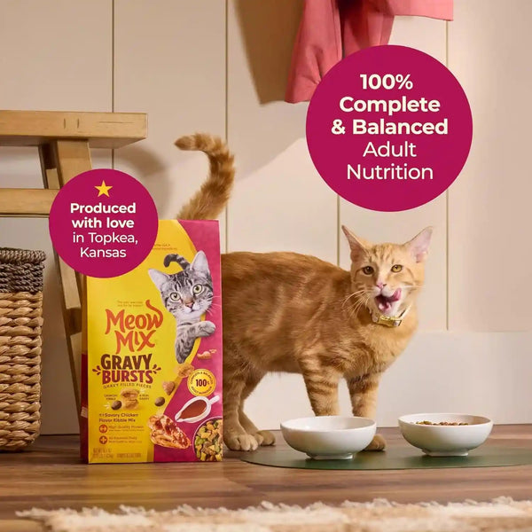 Meow Mix Gravy Bursts Dry Cat Food, 3 Lb Bag | Crunchy Cat Kibble, Gravy Filled Pieces, 100% Complete & Balanced Nutrition for Adult Cats, High Quality Protein3