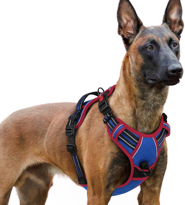 Rabbitgoo Dog Harness Medium Sized, Updated Easy on & off with 3 Buckles | No Pull No Choke, Walking with 2 Clips and Handle, Adjustable Soft Reflective, Blue, Medium29