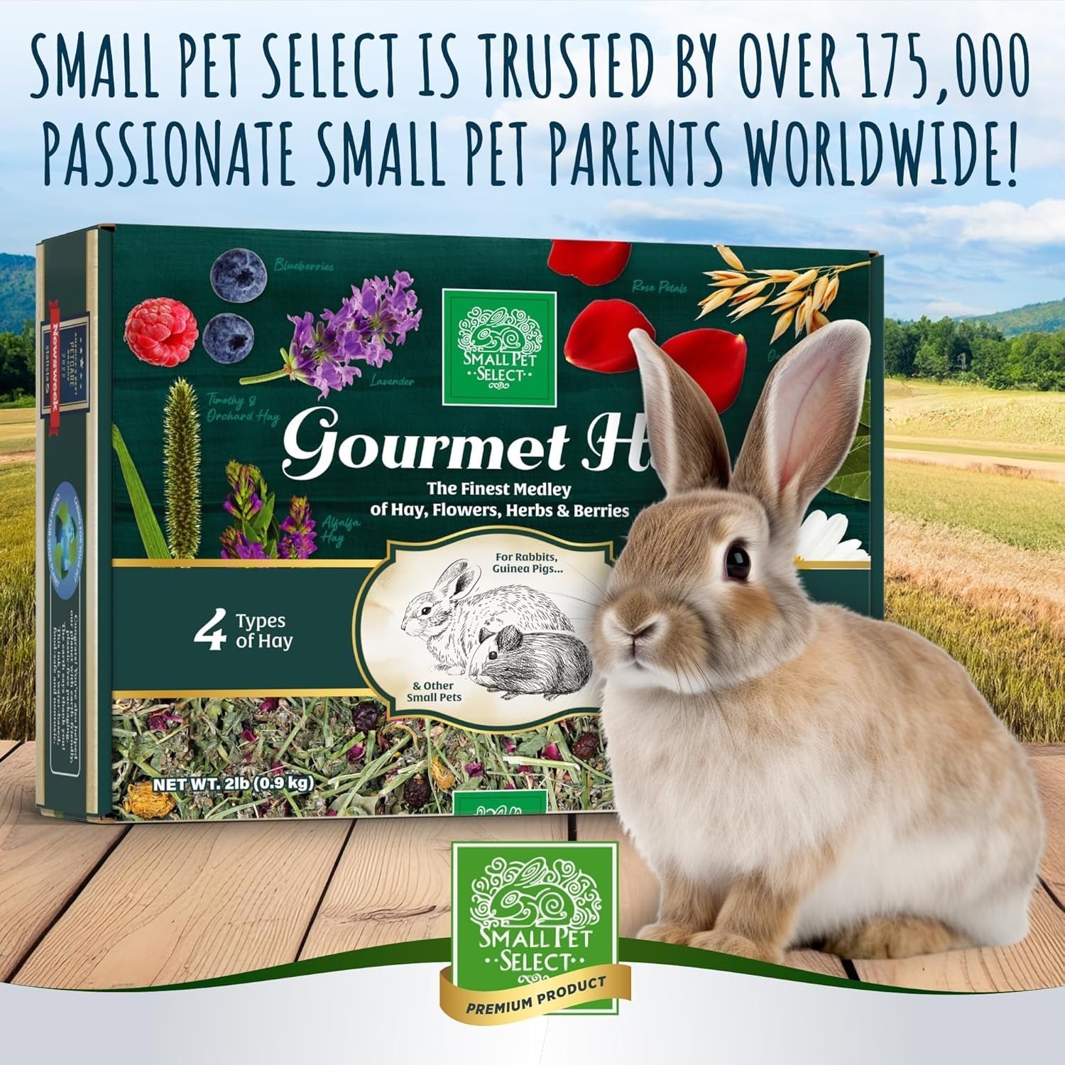small-pet-select-gourmet-hay-treat-flowers-herbs-rabbits-2-lb-exclusive-treat-hay-blend-with-flowers-herbs-for-guinea-pigs-chinchillas-bunnies-other-small-pets
