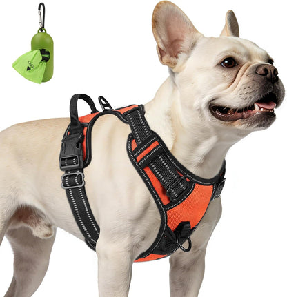Joytale No Pull Dog Harness Medium Sized Dog, Front Clip, Black | Grab Handle for Instant Control, Padded & Adjustable Vest, Sturdy Metal D-Rings, for Safe Training & Daily Walking26