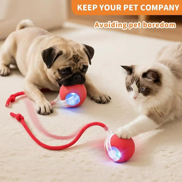 Cat Toys for Indoor Cats Smart Automatic Bal Moving Chase Dogs Toy, Red | Ball Rolling for Bored Kitten Pet, Upgraded Speedy Moving Chase Dogs Toy2