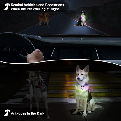 Dog Collar Light, 4 Modes Dog Lights for Night Walking, Rechargeable LED Pet Collar Light for Nighttime Clip On, IP68 Waterproof Pet Walking Accessories-2 Pack(Black)7