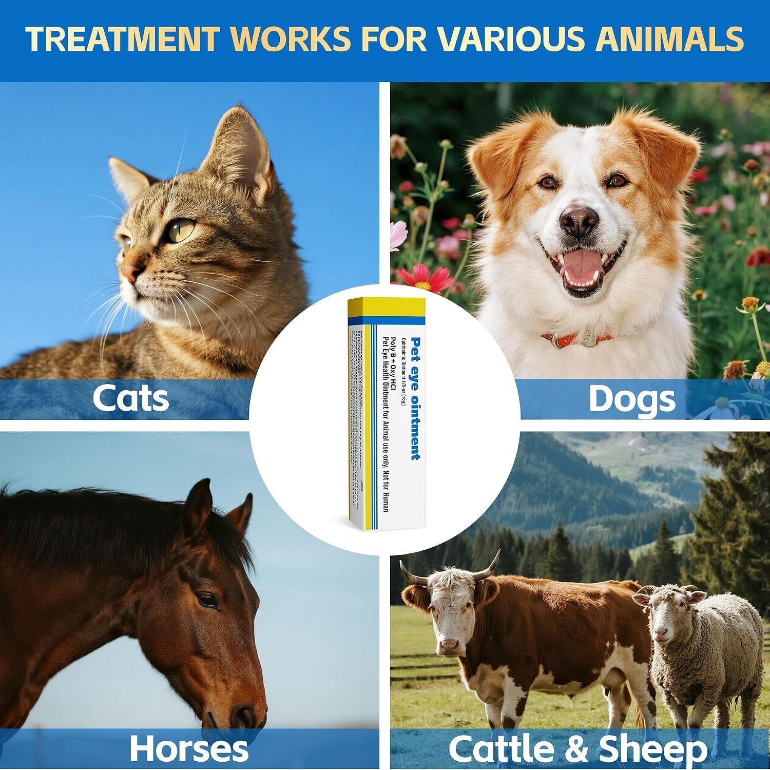 pet-eye-health-for-dogs-cats-cattle-sheep-horses-birds-and-puppies-kitten-1-tube-0-35-oz-10g