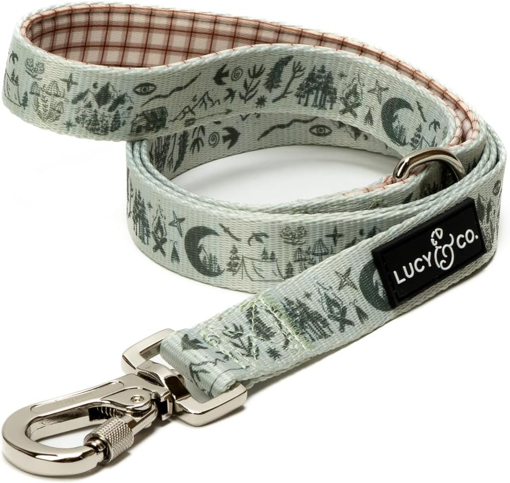 lucy-co-cheery-cherries-designer-dog-leash-for-small-to-large-dogs-padded-handle-for-comfort-large-red-gingham-cherries-5-foot