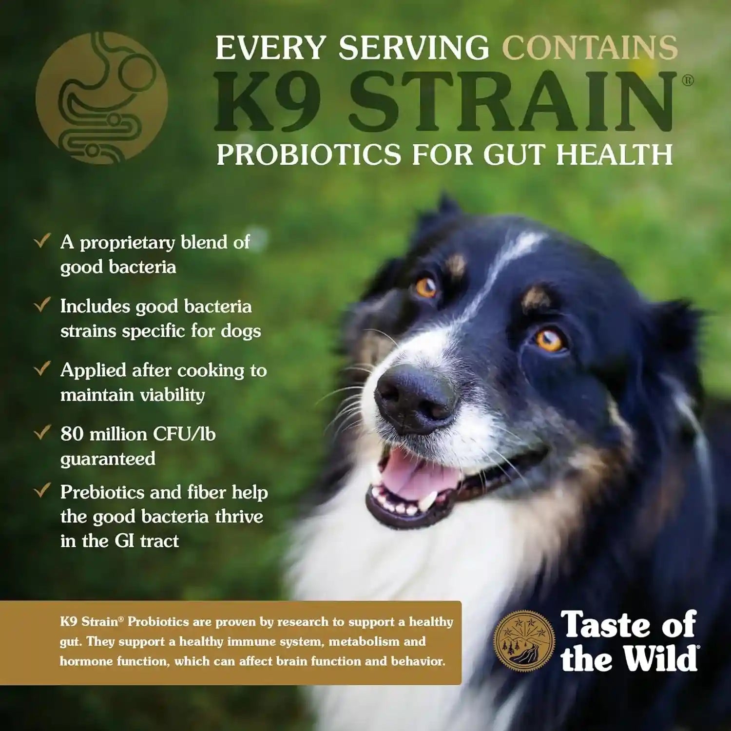 taste-of-the-wild-ancient-prairie-dry-dog-food-roasted-bison-28lb-puppy-adult-senior-dogs-high-protein-roasted-bison-ancient-grains-nutrient-dense-to-help-support-peak-health