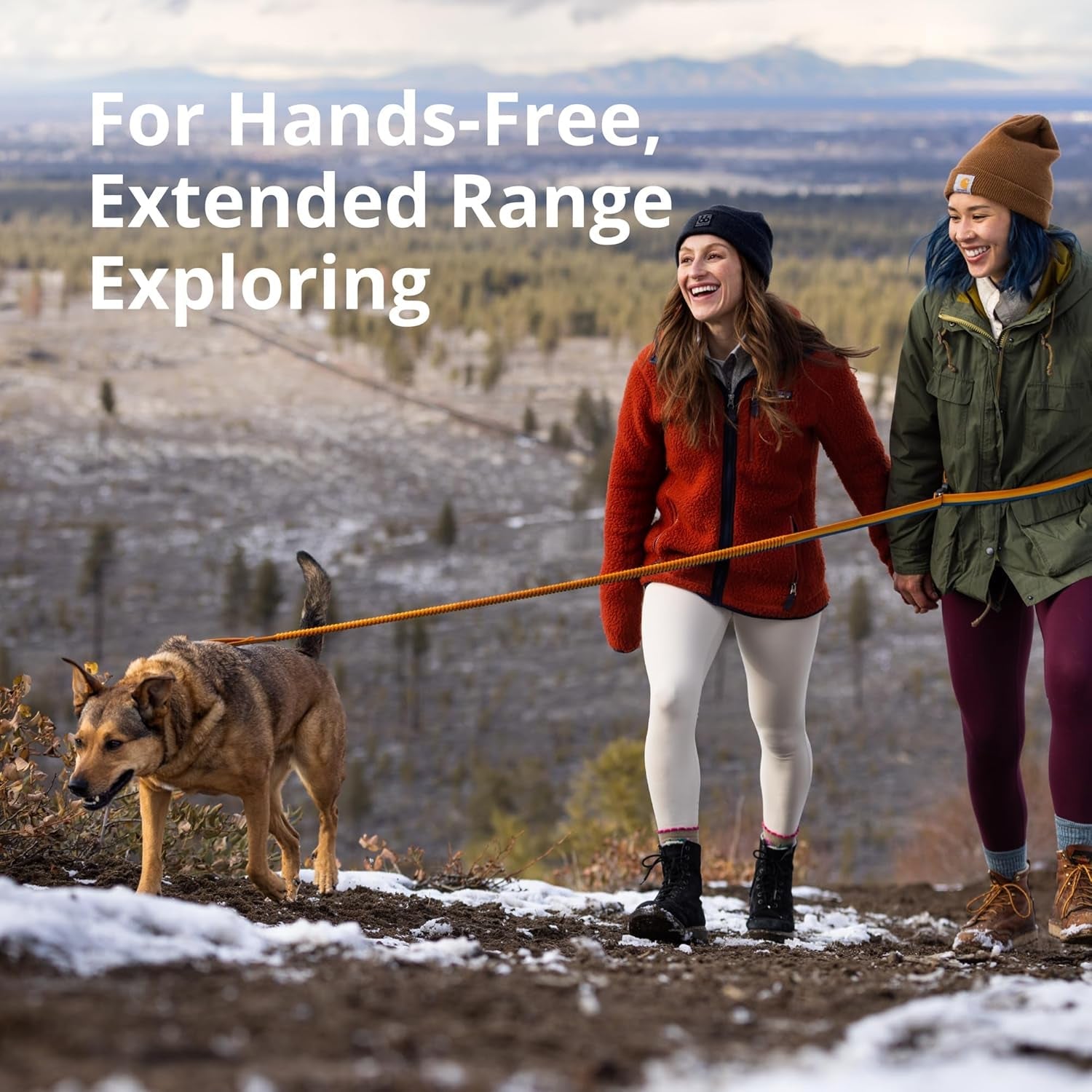 ruffwear-roamer-bungee-dog-leash-for-running-biking-or-hiking-can-be-used-hand-held-or-hands-free-river-rock-green-5-5-7