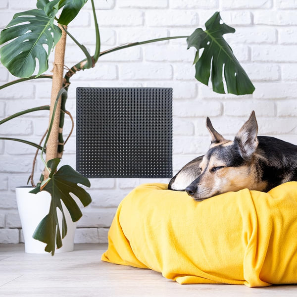 2 PCS Dog Scratching Post Pad, Soft Touch Itch Relief Pad for Horse Cow Goat Sheep, PVC Dog Back Scratcher, Massage Bed Massage Brush for Wooden Stake Wall Sofa Ground 11.8 X 11.8 Inch8