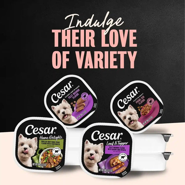 Cesar Wet Dog Food, Steak Lovers Variety Pack, 3.5 Oz, 36 Count | Real Meat #1 Ingredient, Easy Peel Trays, 100% Complete & Balanced, No Fillers, No Added Sugar, No Artificial Flavors7