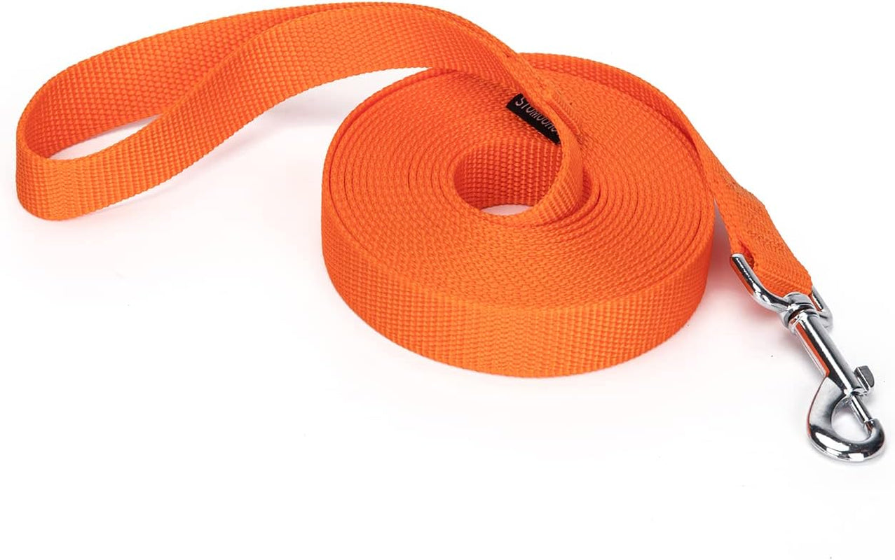 strong-durable-nylon-10ft-long-dog-training-leash-traction-rope-1-inch-wide-for-small-and-medium-dog-black-10-feet