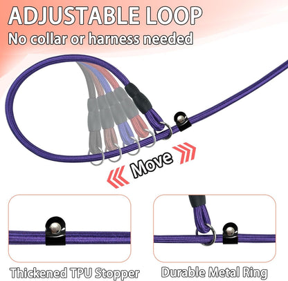 FOVRLZSE Nylon Dog Leash 5-Pack (Red/Black/Blue/Brown/Purple), 4.6FT Training Leash for Small to Medium Dogs, 10Mm Braided Nylon with TPU Non-Slip Buckle, Daily Walking & Puppy Training5