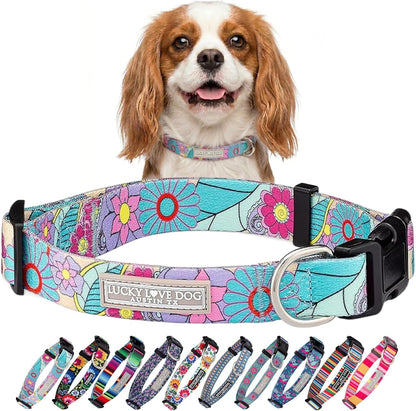 Lucky Love Dog - Easy Click Buckle Dog Collar with Leash Set Combo, Durable & Comfortable for Male & Female Dogs, Pet Collar for Medium Dogs, Secure Fit - Blackbird Combo, Medium34