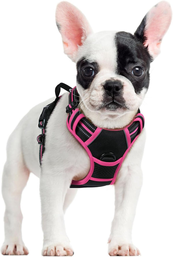 Rabbitgoo Dog Harness, No Pull for Large Dogs with 2 Leash Clips, Pet Vest | No Choke with Handle, Adjustable Soft Padded, Reflective, Easy Control for Walking, Black, Large123