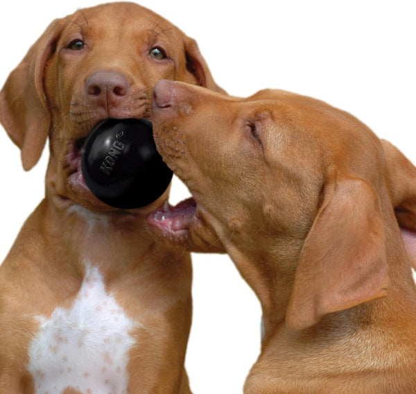 KONG Extreme Ball with Hole - Fetch Toy - Durable Dog Toy for Training, Interactive Playtime & More - Natural Extreme Rubber Ball - Black - for Medium/Large Dogs9
