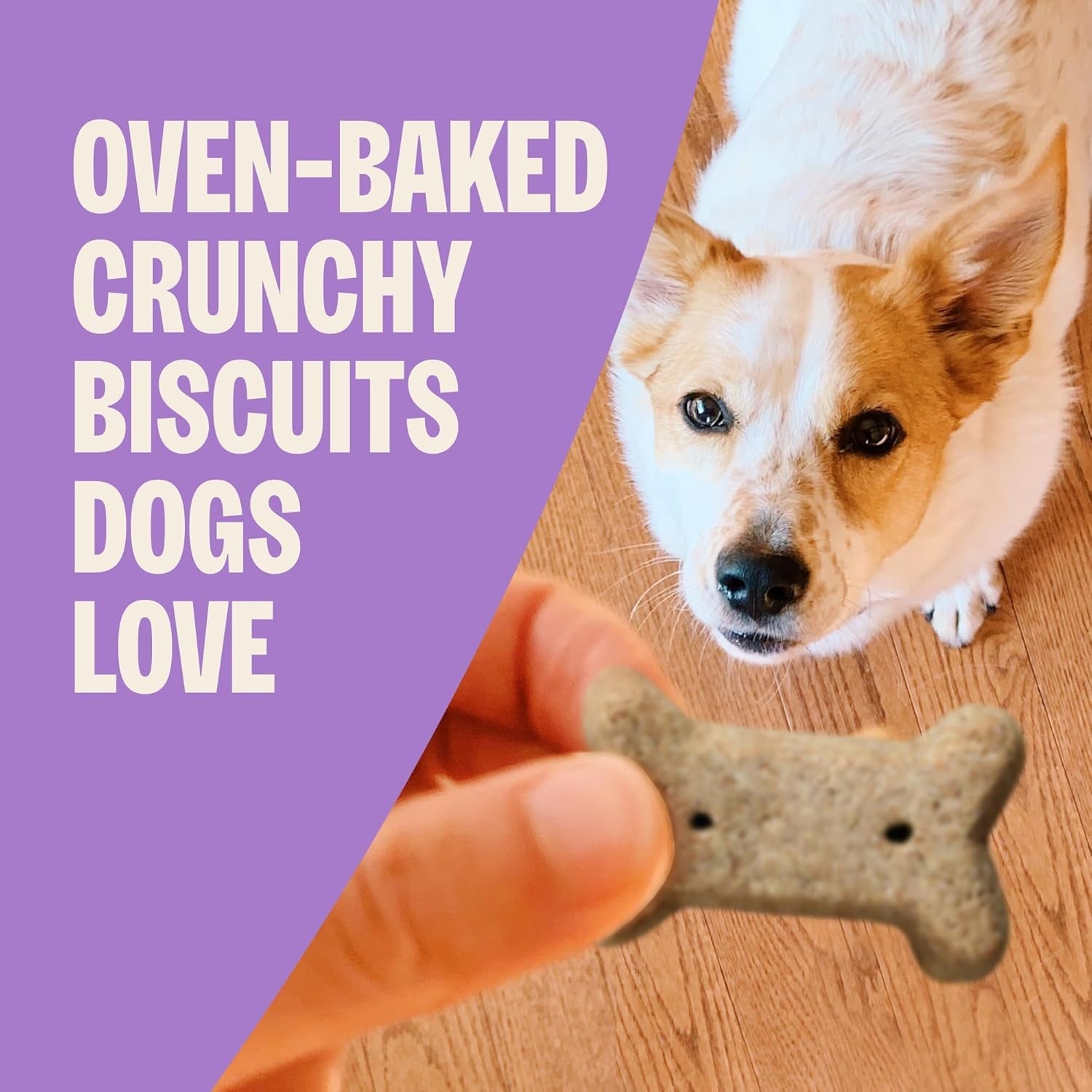 old-mother-hubbard-wellness-p-nuttier-dog-biscuits-natural-training-treats-peanut-butter-flavor-mini-size-20-ounce-bag