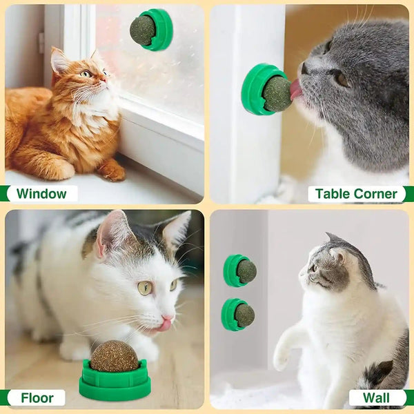 3 Pack Catnip Balls, Catnip Ball for Cats Wall, Edible Kitty Toys for Cats Lick, Safe Healthy Kitten Chew Toys, Teeth Cleaning Dental Cat Toys, Cat Wall Treats (1, Green)4