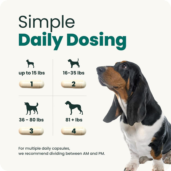 Vetriscience Healthy Spine & Disc Easy-Open Capsules, Back and Spinal Support Chondroitin and Taurine Supplement for Dogs, Perfect for Dachshunds, Corgis, Frenchies, Basset Hounds & More, 180 Count6