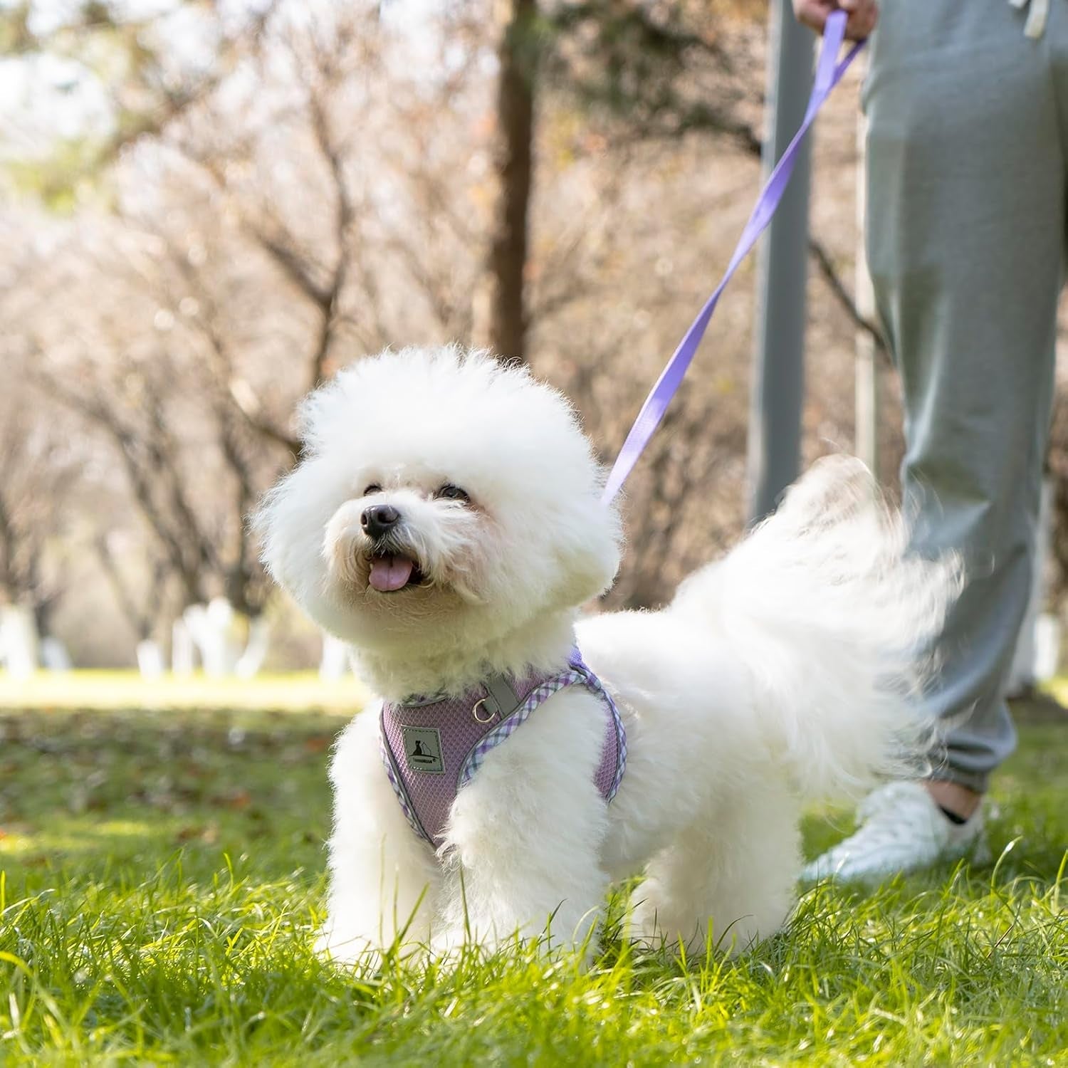 dog-harness-leash-set-no-pull-soft-breathable-small-dog-harness-adjustable-reflective-step-in-vest-for-puppy-kitten-cats