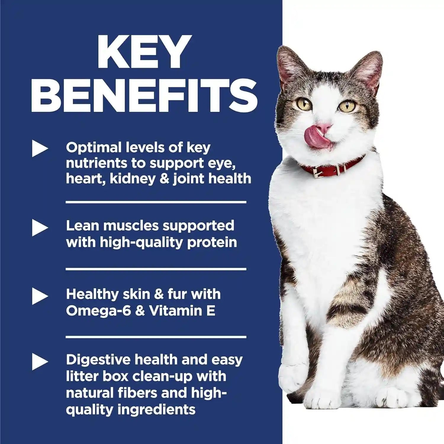 hills-science-diet-senior-11-indoor-dry-cat-food-1-veterinarian-recommended-chicken-recipe-7-lb-bag