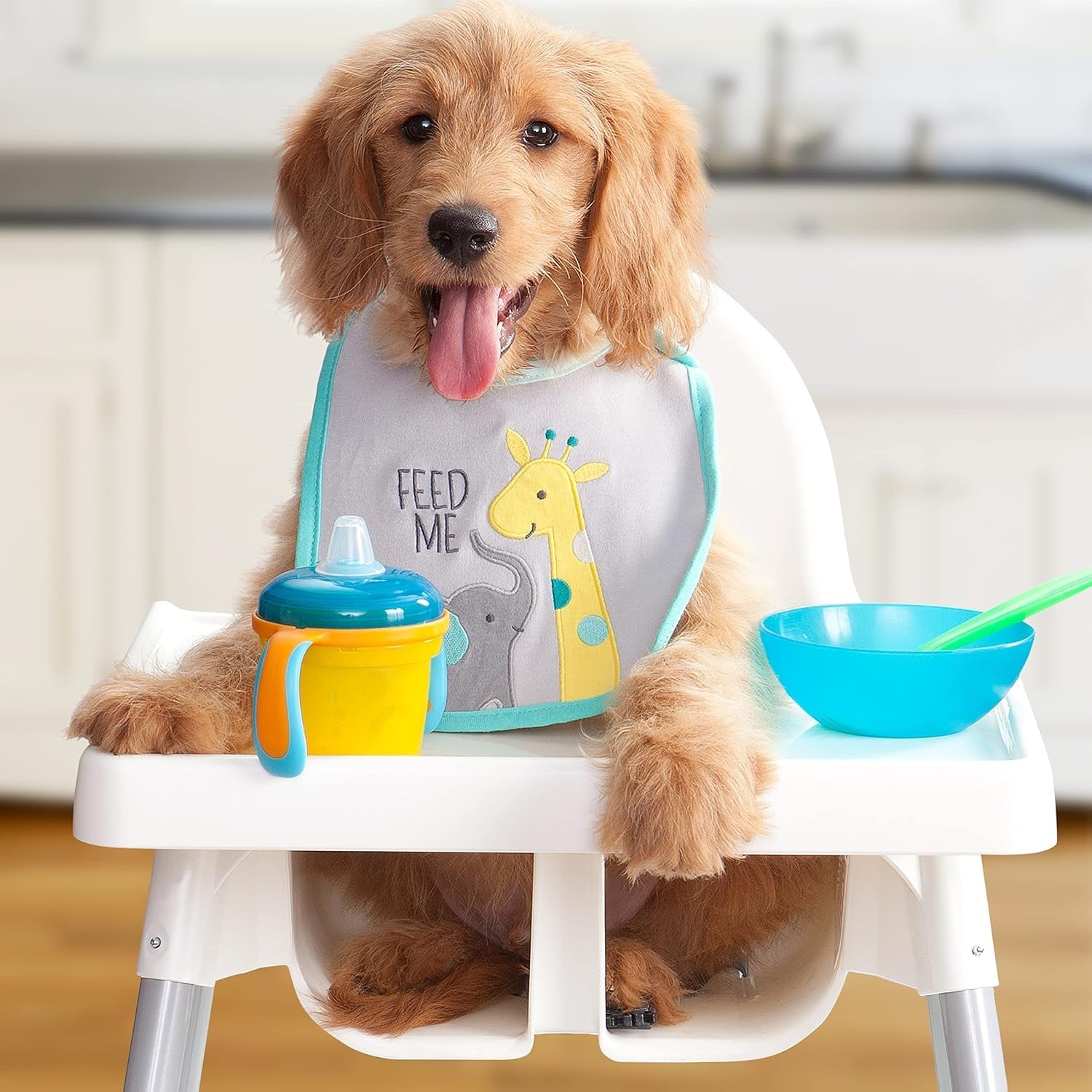 fromm-puppy-gold-premium-dry-dog-food-dry-puppy-food-for-medium-small-breeds-chicken-recipe-5-lb